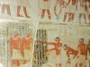 Ancient Egypt : Saquarra Gay Tomb - 4