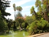 Botanical Gardens of Lisboa - Jardim Botanico Tropical - 1 0170914_7743