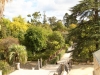 Botanical Gardens of the University of Coimbra - 1 1IMG_9637