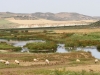 Moroccan Landscapes - 1 Sebou River 1