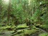 Nature in Canadian Places - Haida Gawai