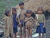 Nepalese - 2 Pokara Children
