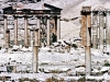 Palmyra 3