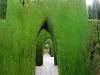 Alhambra: The Gardens - 5 20170510_6995