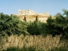 Ancient Egypt : Siwa Oasis - 1