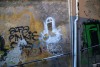 Cock Graffiti -  Italia - 5