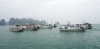 Halong Bay - 2   20190113_0025