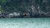 Halong Bay - 4a     20190113_0034