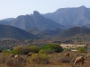 Moroccan Landscapes - 1 Kebdane Mountains