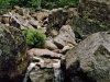 Adirondacks High Peaks 1