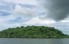Nature in Brazil - The Amazon -1
