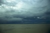 Nature in Brazil - The Amazon - 4