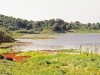 pond-ngorongoro-crater