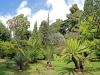 Orto Botanico - 2