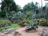 Orto Botanico - 5