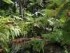 Orto Botanico - 6