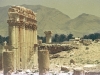 Palmyra -  2