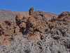 Tenerife Lava Fields - 4