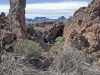 Tenerife Lava Fields - 3