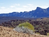 Tenerife Lava Fields -  2