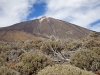 Mt. Teide Summit