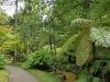 Sao Miguel Garden Furnas 2