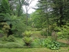 Furnas Gardens 1