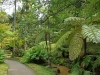 Furnas Gardens 2